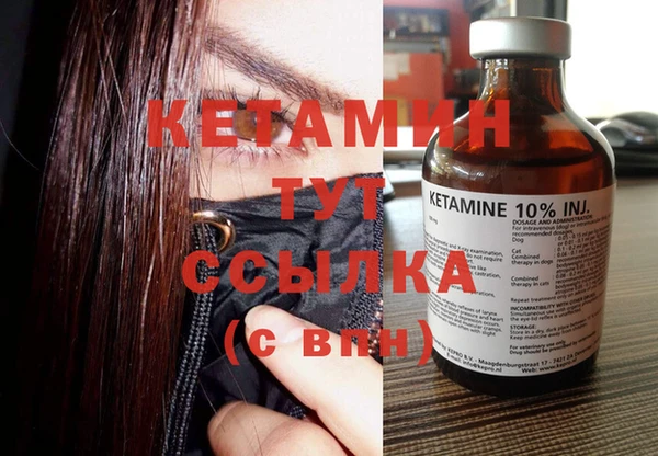 шишки Новозыбков