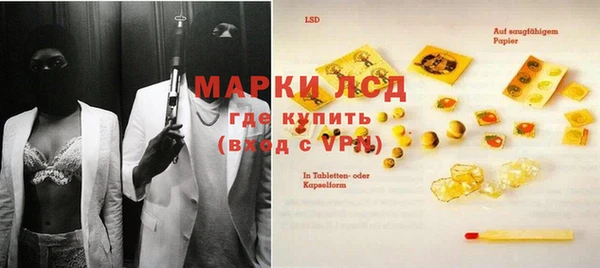шишки Новозыбков
