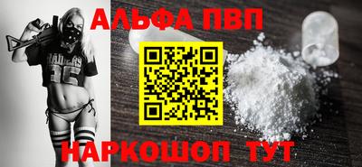 стаф Гатчина