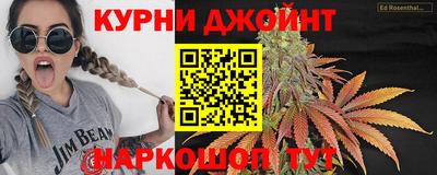 стаф Гатчина