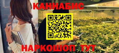 стаф Гатчина