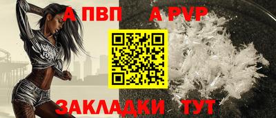 стаф Гатчина