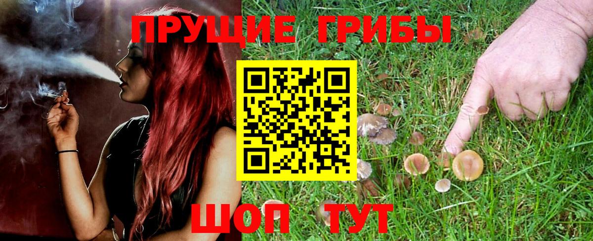 Псилоцибиновые грибы прущие грибы Лангепас