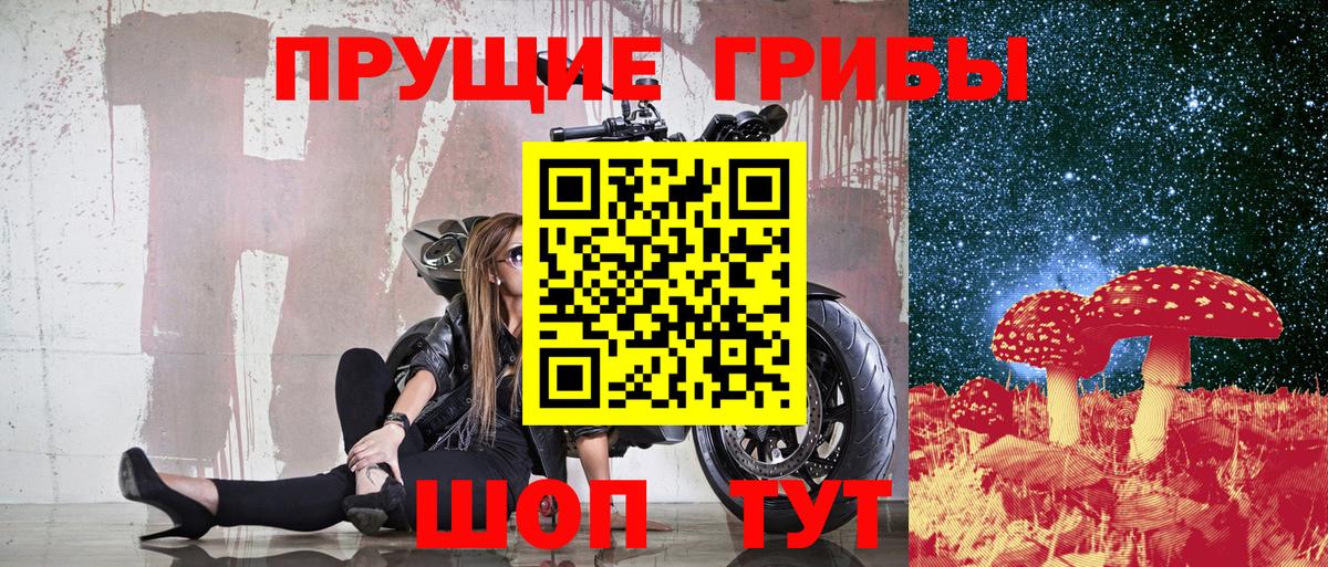 Лангепас  Псилоцибиновые грибы Psilocybe  Вход с VPN 